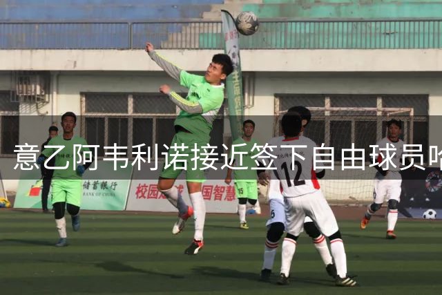 意乙阿韦利诺接近签下自由球员哈梅斯